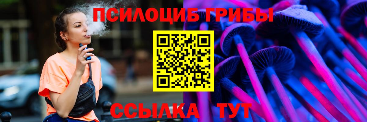 Галлюциногенные грибы Psilocybe Жигулёвск